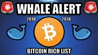 Whale Alert: Three Whales Making Moves in 2018! [Bitcoin Rich List]