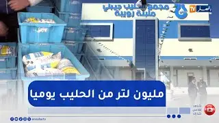 بإنتاج مليون لتر يوميا .. مصنع إنتاج الحليب بالرويبة يدخل مرحلته التجريبية