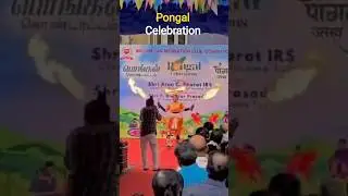 Pongal celebration in office ||tamilnadu most famous festival