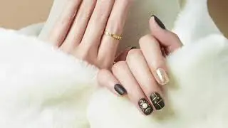 Royal Collection Premium Set