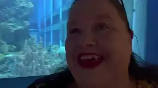 EPCOT The Seas, Nemo Ride, Turtle Talk, and Aquariums