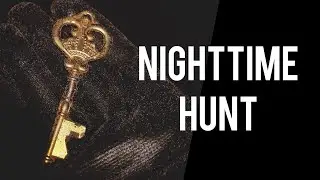 Metal Detecting at night with the Nox 900