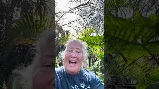 Работа в саду: посадка растений и семян, прополка сорняков! 🌻🌸💐🌹
