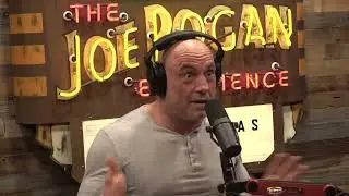 How did News Radio hire Joe Rogan ft Adam Sandler
