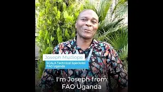 Country Insights 2023: SCALA in Uganda