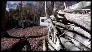 East Coast Bulldogs | Tipx