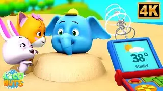 Забавные анимационные серии &laquo;Вечное лето&raquo; и другие мультфильмы для детей.