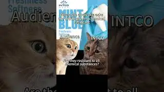 When the audience asks are nitrile gloves chemical resistant #funnycat #nitrileglove #catmeme