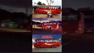 ❤️🚌 Rural Transit 9646 | Kinglong XMQ6107AYW #shorts #busspotting #2023