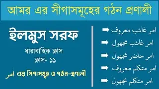 আমরের সীগাসমূহের গঠন-প্রণালী। প্রত্যেক প্রকারের গরদান ও অর্থসহ | ইলমুস সরফ ক্লাস-১১ | আমর কত প্রকার?