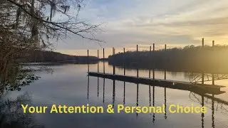 Your Attention & Personal Choice [Alyson Noune']