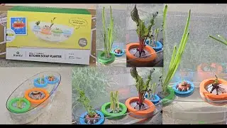 KiwiCo - Kitchen Scrap Planter Kit | Unboxing and Demo with results