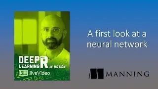 Deep Learning with R in Motion: a first look at a neural network