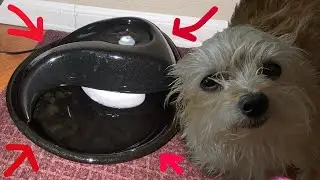 Pioneer Pet Teardrop Ceramic Pet Drinking Fountain Unboxing