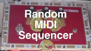 Petite Robusto - Random MIDI Sequencer