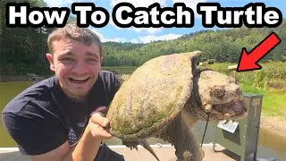 How To Catch a Snapping Turtles for Beginners!