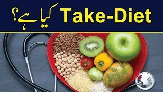 What Is Tech Diet ? | Talon News TV HD