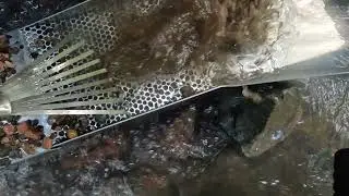 Gravel guts first run while testing new ground
