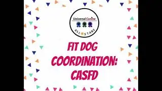 Universal Canine All Stars Coordination Fit Dog submission