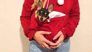 Carry Your Pet in this Kangaroo Hoodie