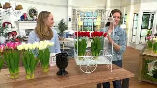 Indoor/Outdoor Metal Flower Cart by Valerie on QVC