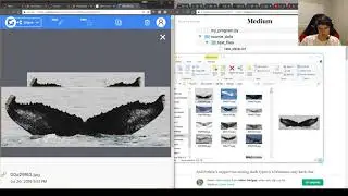 Day 8 of #100DaysOfML/DLCode - Part 2