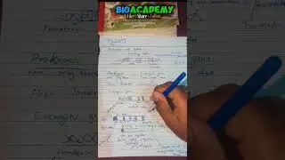 Stracture of Gene ? #youtubeshorts #biology #trending #bioacademy #viral