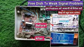 Free Dish DTH Weak Signal Problem | Dth No Signal Problem In Hindi | DTH Repair 