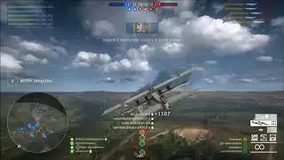Thanks Dice
