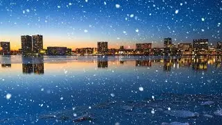 Almere 50 jaar. 