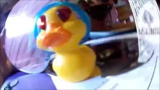 found a blind duck| into the past