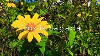 This Is Sagada, This Is Bomod-ok Falls