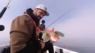 Auckland Gurnard Session with Duncan