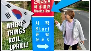 #MTBPlanB Best places to visit in Korea. Jeju Island Mysterious road.