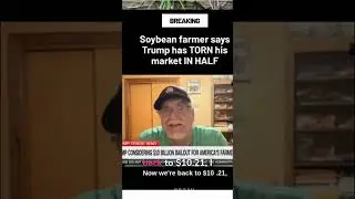 Trump Tariffs & Soybean Prices: Real Cost for US Farmers | Trade War Economic Impact