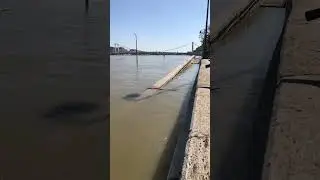 Flood peak in Budapest 2024