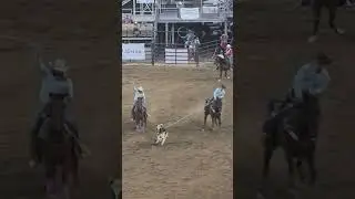 State fair rodeo Utah #countrymusic #prca #rodeo #utah #cowboys