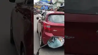 വിളിച്ചപ്പോൾ ഉള്ള ആ നോട്ടം🥰#pets