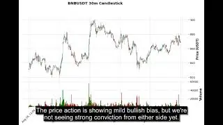 BNB (BNBUSDT) Technical Analysis - Price Prediction & Buy or Sell August 29, 2025