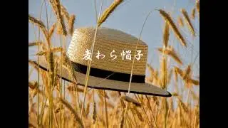 ( フリートラック ) 