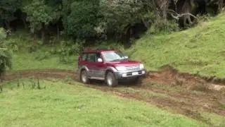 SC4W - Waimiha Safari 2011 highlites.mpg