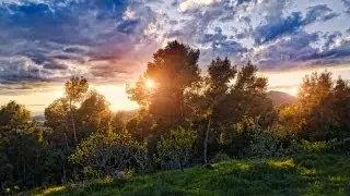 Quan ja sigui primavera - LLONGUE