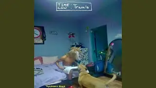 Ben UFO