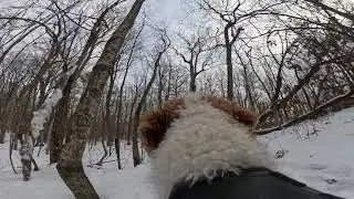 Pease Mountain Hike - Jan 2, 2026