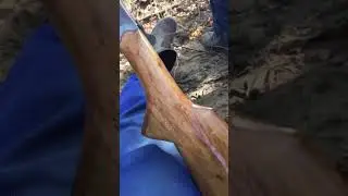 Cartucheira Rossi pomba cal 36, depois de trocar coronha
