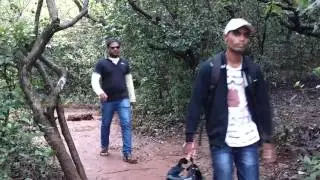 mahableshwar picnic spot