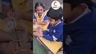 #crayons #vidyarambham # vidyarambha global school #song #schoollife #bachupally #fun #Activity