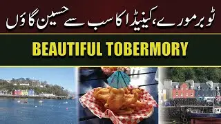 Tobermory & Flowerpot Island &ndash; The Most Beautiful Places in Ontario, Canada | Natural Pharmacy