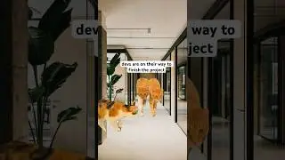 It definitely deserves an honorable mention at least🏅 #codingmemes #devlife #softwareengineer
