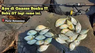 Baby GT lagi rame Bosku !!! Umpan Softlure Carolina Rig MANTAP || Spot. Pantai Banyuwangi.